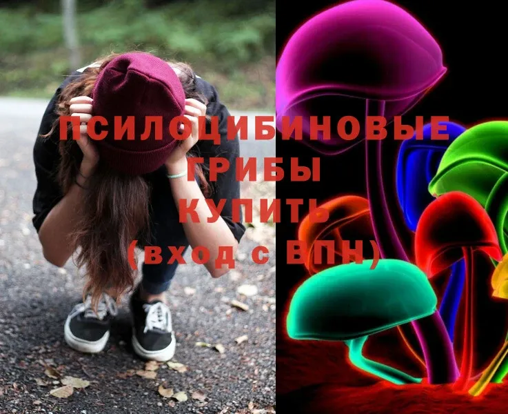 Галлюциногенные грибы Psilocybe  Яровое 